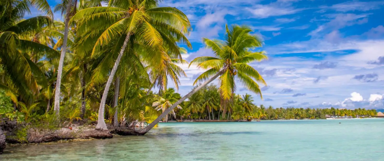 bora-bora-island-jetboard-tour